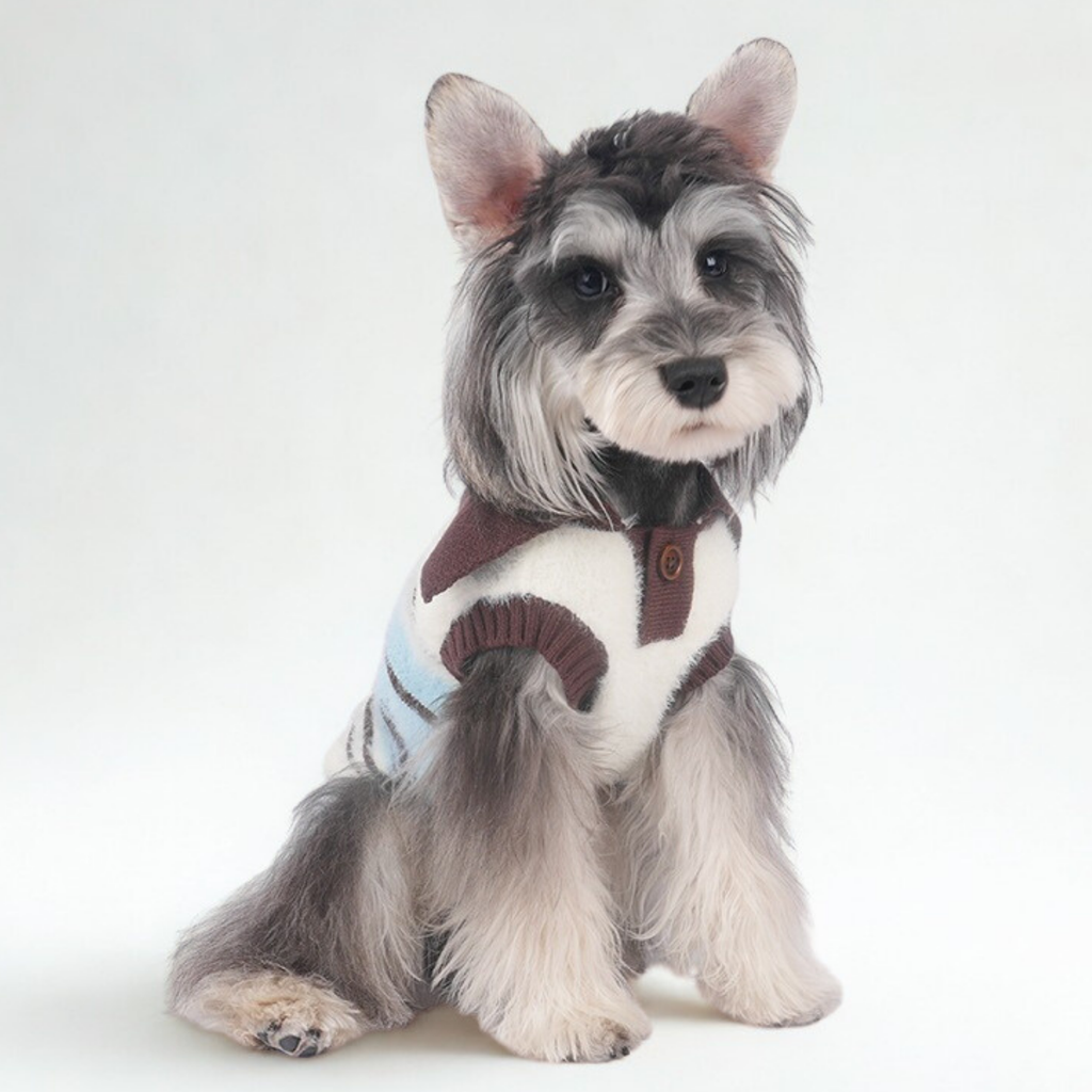 Maglioncino Gilet Polo a Righe con Colletto Colori Blu Bianco Marrone