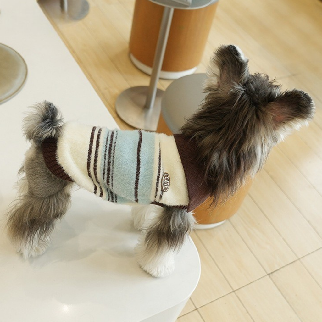 Maglioncino Gilet Polo a Righe con Colletto Colori Blu Bianco Marrone