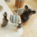 Maglioncino Gilet Polo a Righe con Colletto Colori Blu Bianco Marrone