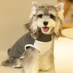 Maglia Gilet Termico a Righe con Collo Mezzo Alto in Tessuto De-Rong Ultra Morbido