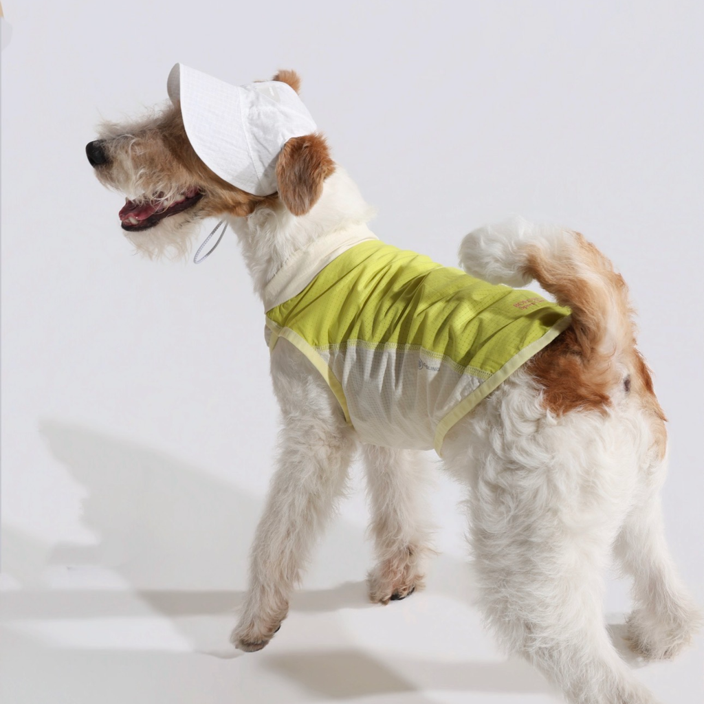 Gilet Rinfrescante Protezione Solare Maglietta Estiva Ultraleggera Traspirante - Verde Fresco