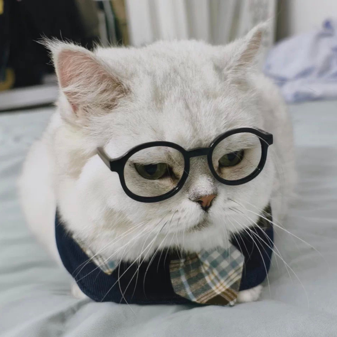 Bandana con Cravatta Stile Professionale Bavaglino per Cani Gatti