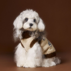 Maglioncino Gilet con Collo Alto Reversibile Stampa Cagnolini 10% Lana