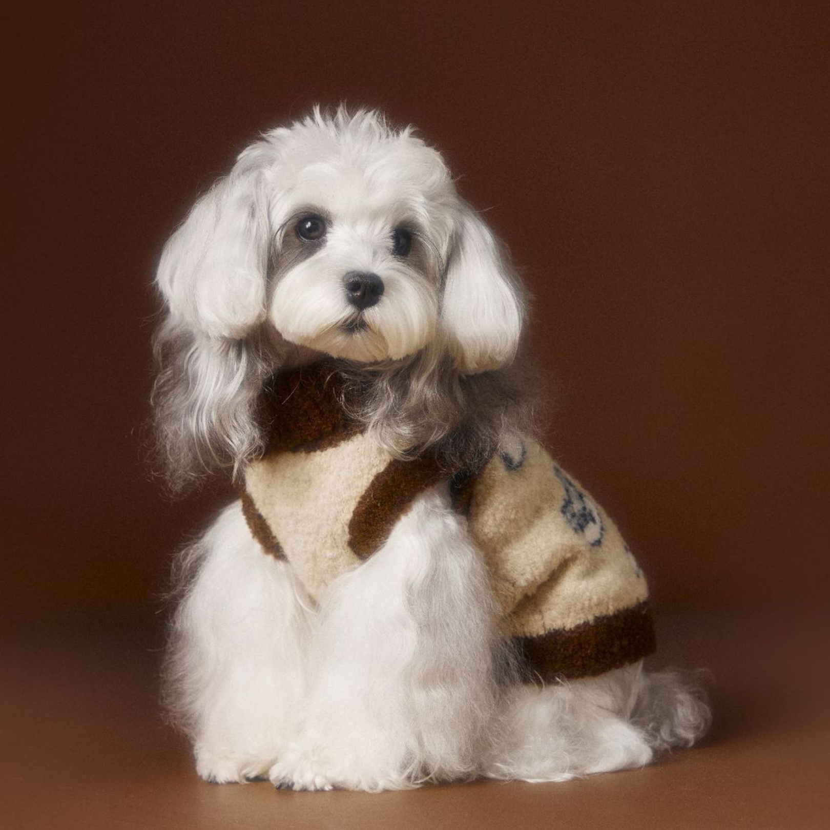 Maglioncino Gilet con Collo Alto Reversibile Stampa Cagnolini 10% Lana