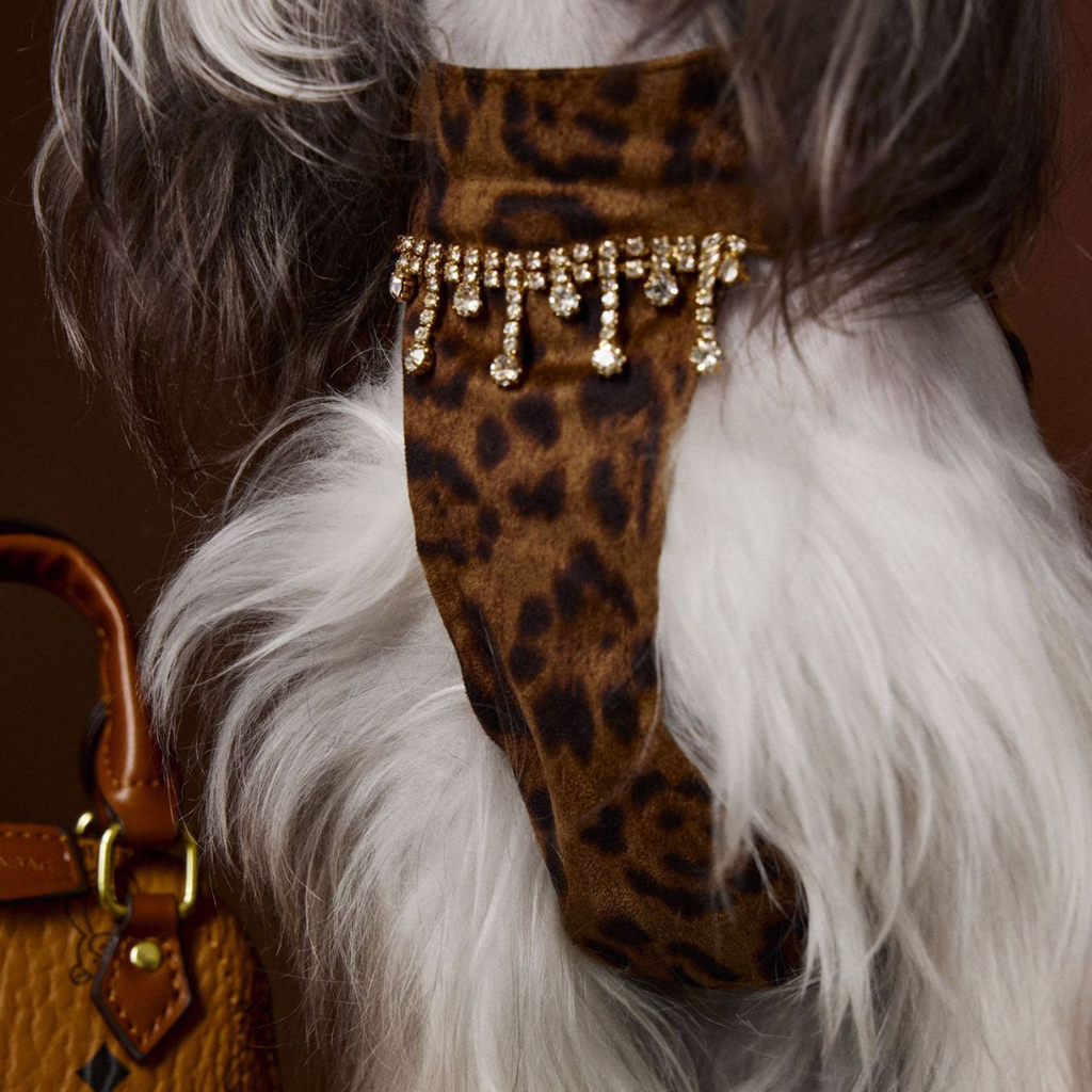 Vestito Leopardato con Catena Strass Abito Elegante Moderno