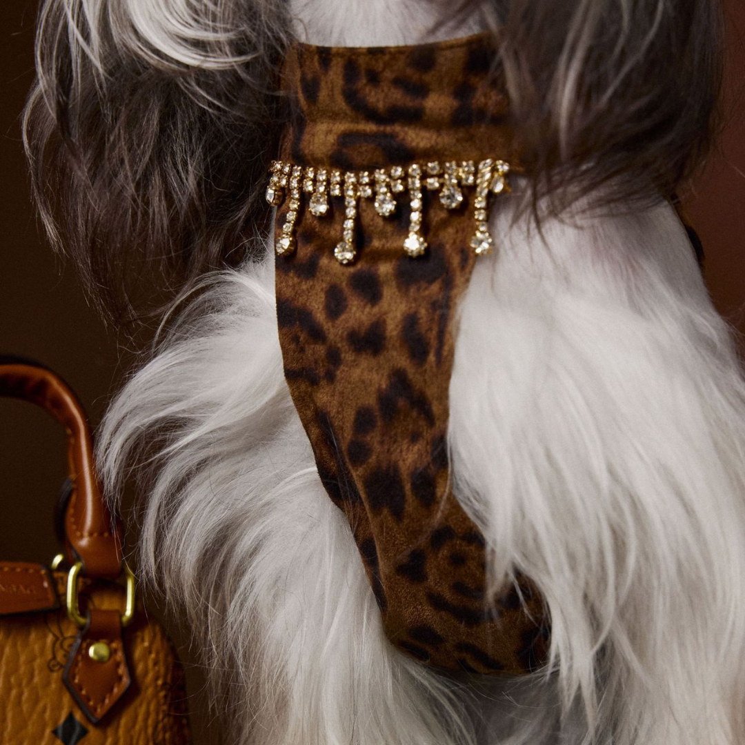 Vestito Leopardato con Catena Strass Abito Elegante Moderno