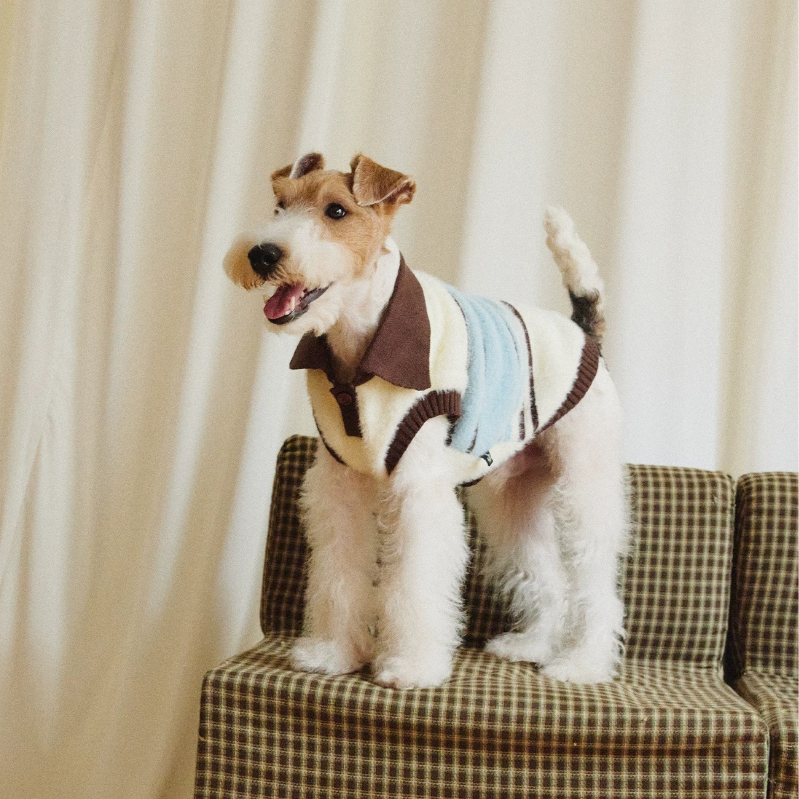 Maglioncino Gilet Polo a Righe con Colletto Colori Blu Bianco Marrone
