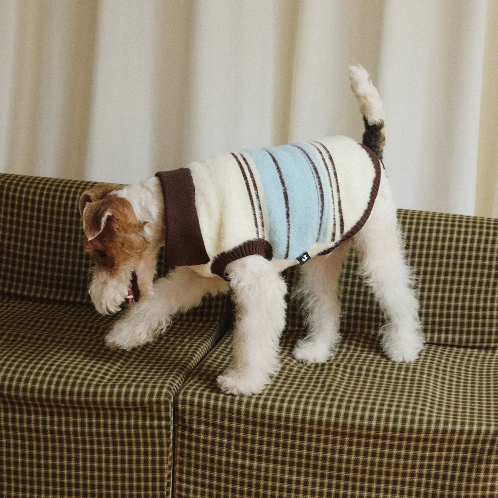 Maglioncino Gilet Polo a Righe con Colletto Colori Blu Bianco Marrone