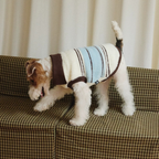 Maglioncino Gilet Polo a Righe con Colletto Colori Blu Bianco Marrone