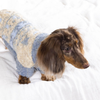 dettaglio maglione caldo per cani