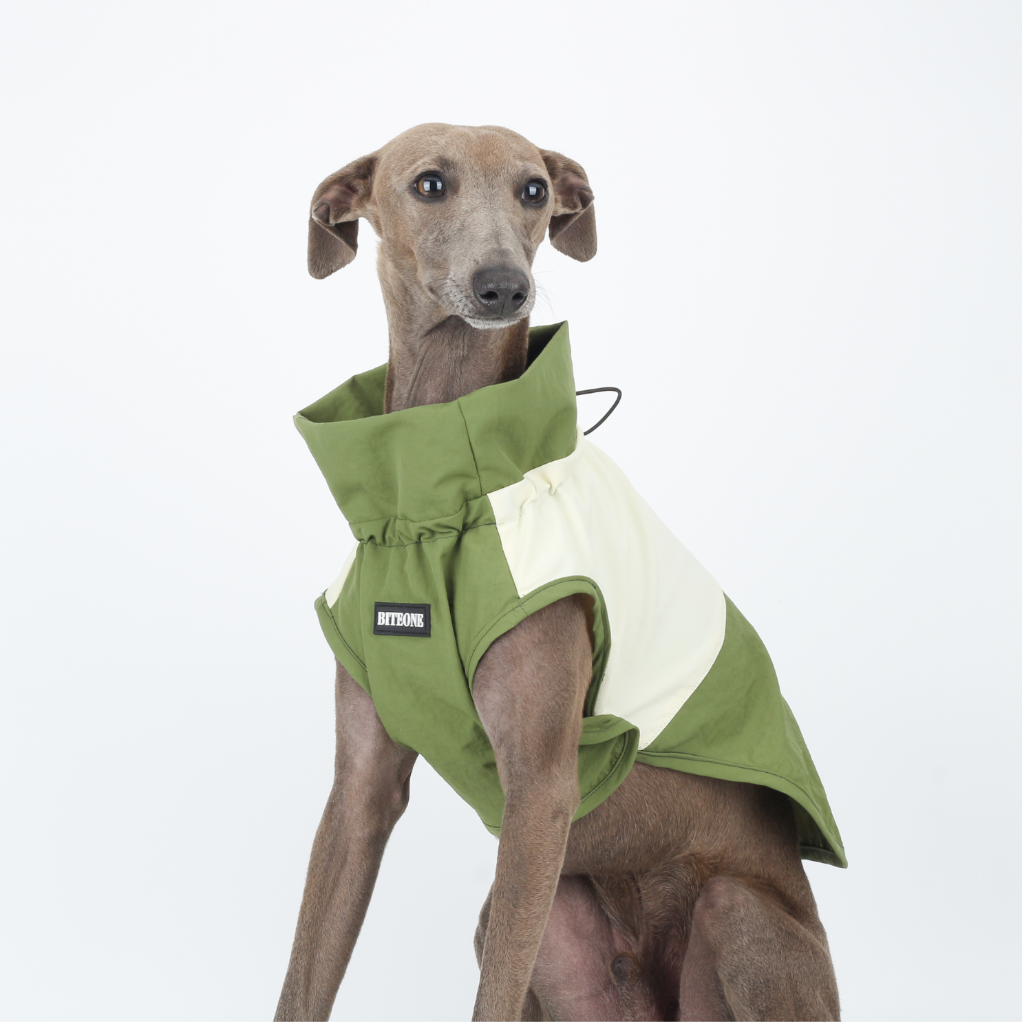 Gilet Antivento Impermeabile Giacca Outdoor Senza Maniche in Nylon Stile Sportivo