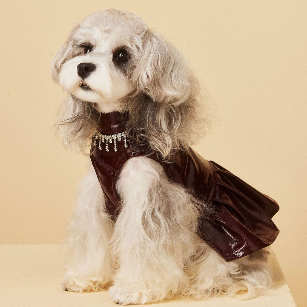 Abito in Ecopelle Colore Bordeaux con Collana Strass Elegante Vintage