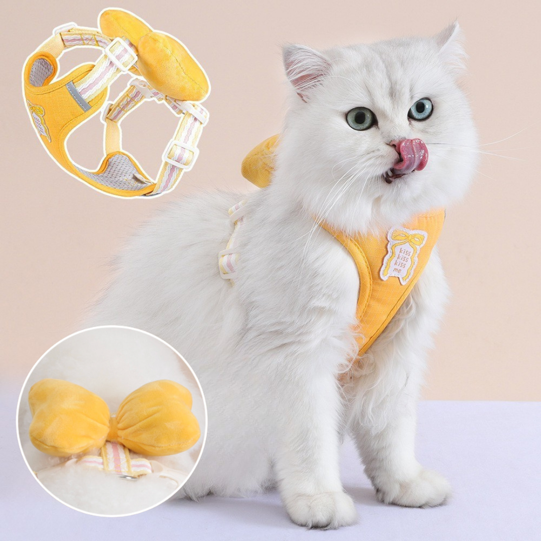 Set Pettorina + Guinzaglio con Grande Fiocco Imbottito Stile Dolce per Cani Gatti