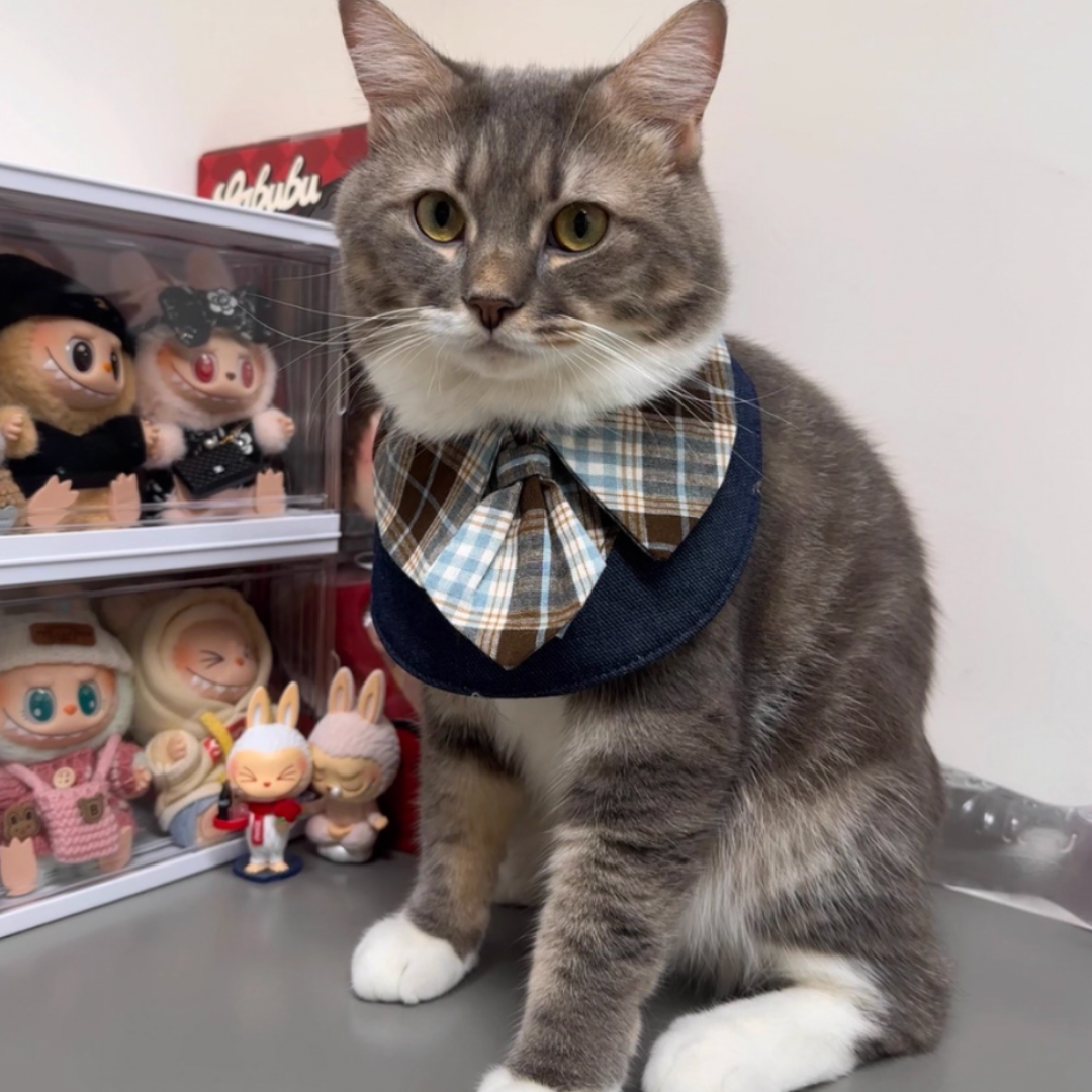 Bandana con Cravatta Stile Professionale Bavaglino per Cani Gatti
