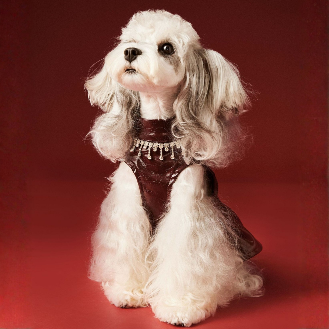 Abito in Ecopelle Colore Bordeaux con Collana Strass Elegante Vintage