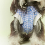 Camicia a Quadretti Blu e Bianchi Colletto alla Marinara con Fiocco e Pizzo