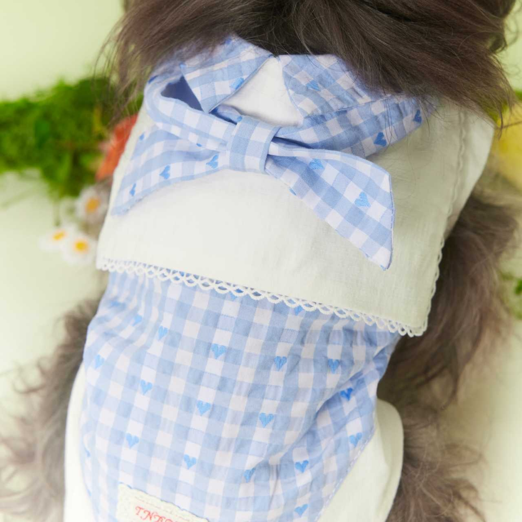 Camicia a Quadretti Blu e Bianchi Colletto alla Marinara con Fiocco e Pizzo