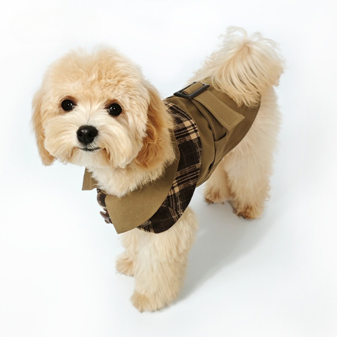 Trench Stile British con Colletto a Mantellina in Tartan