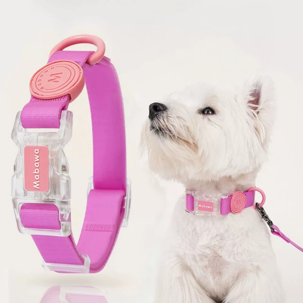 Set Collare + Guinzaglio Impermeabile Multifunzione con Fibbia Trasparente - Rosa Barbie