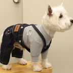 Salopette in Denim con Bretelle Incrociate Girovita Regolabile Casual Comfort Versatile