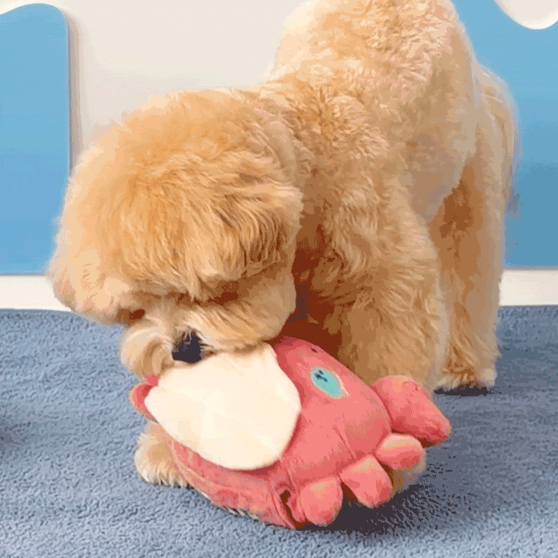 BITE ME – Gioco Olfattivo Interativo per Cani | Granchio Cover – Pallina Automatica non Inclusa