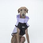 Gilet Antivento Ultraleggero Giacca Outdoor in Nylon Sottile Impermeabile Traspirante Anti-UV