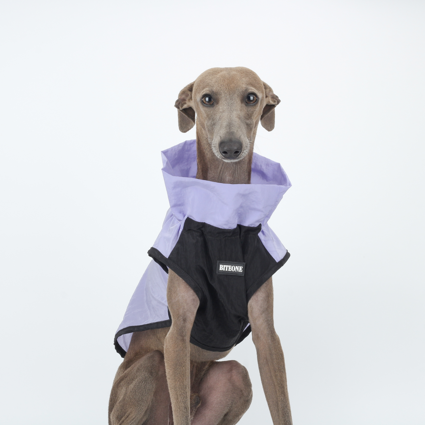 Gilet Antivento Ultraleggero Giacca Outdoor in Nylon Sottile Impermeabile Traspirante Anti-UV