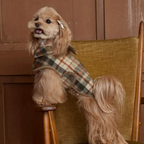 Mantellina in Tweed di Lana a Quadri Stile Vintage