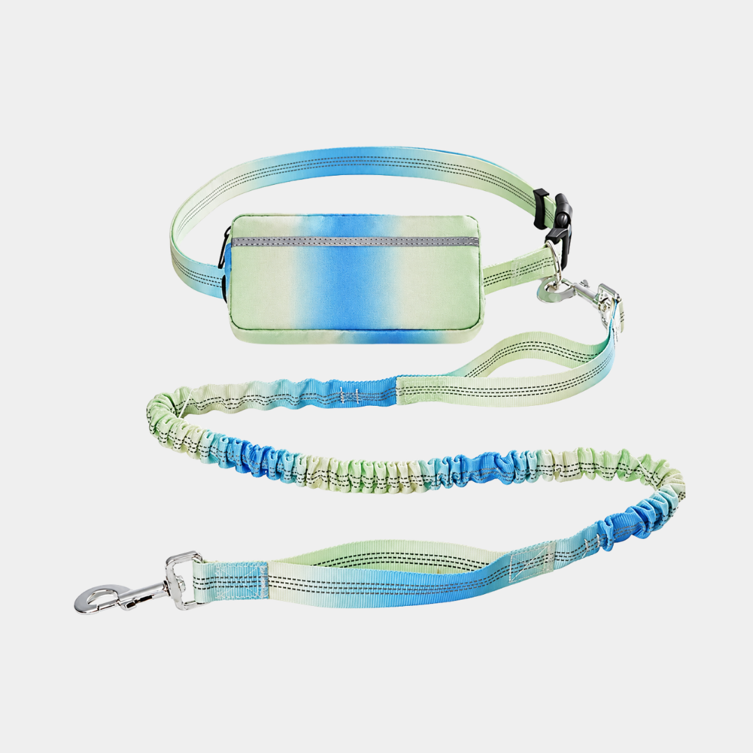Guinzaglio Retrattile Hands Free con Marsupio per Corsa e Outdoor