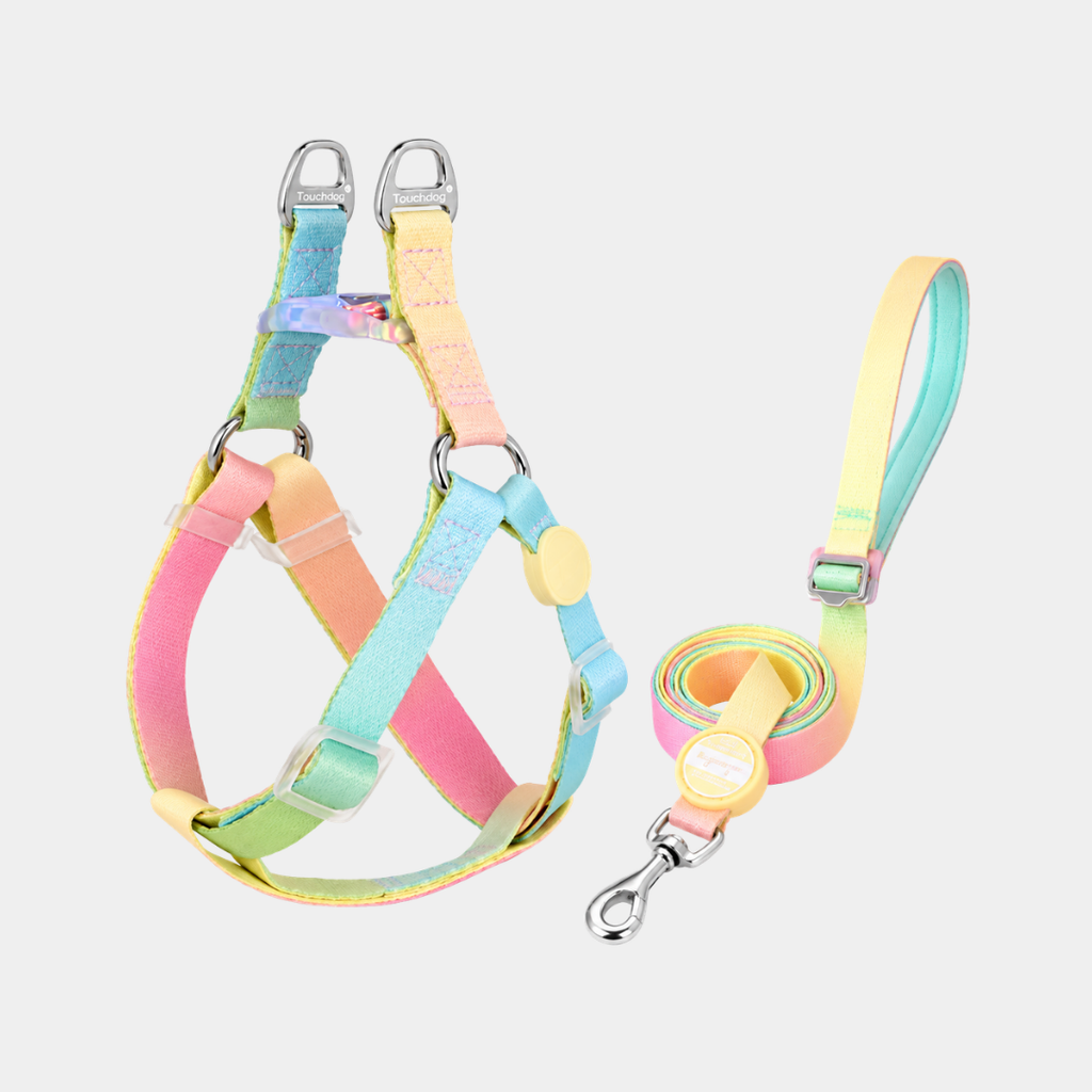 pettorina con luce led per cani con guinzaglio