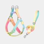 pettorina con luce led per cani con guinzaglio