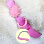 Set Collare + Guinzaglio Impermeabile Multifunzione con Fibbia Trasparente - Rosa Barbie