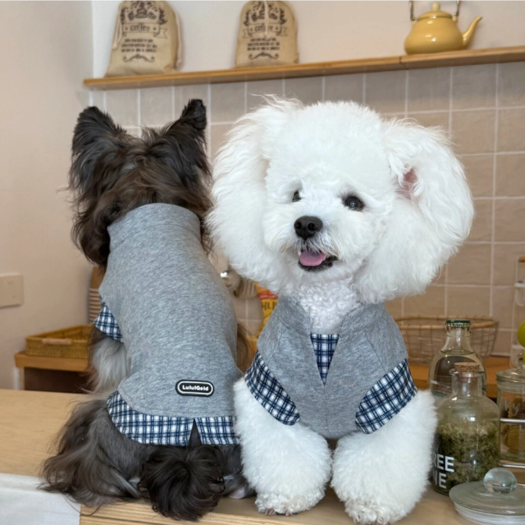 Felpa Gilet con Scollo a V Stile Finto Due Pezzi Grigio con Inserto a Quadri Blu e Bianchi
