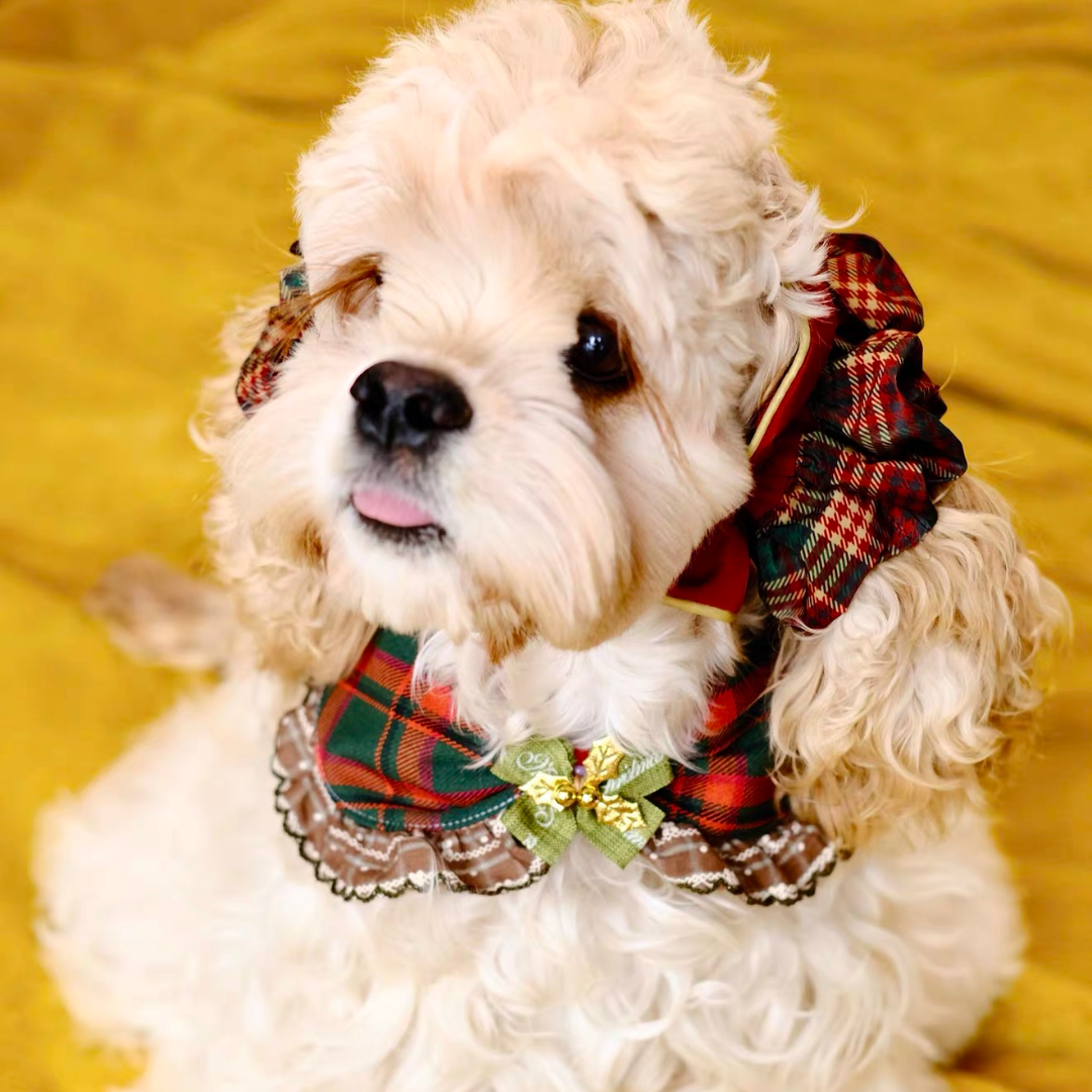 Bandana Natalizia per Cani e Gatti – Colletto a Fiocco Tartan con Volant