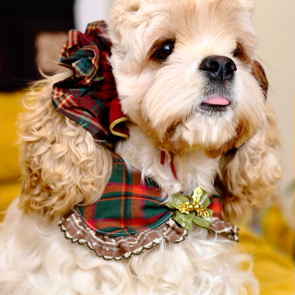 Bandana Natalizia per Cani e Gatti – Colletto a Fiocco Tartan con Volant