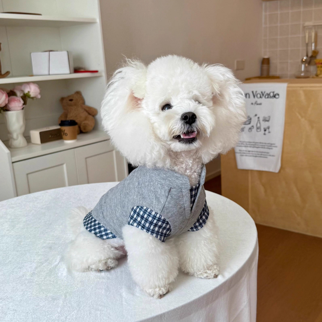 Felpa Gilet con Scollo a V Stile Finto Due Pezzi Grigio con Inserto a Quadri Blu e Bianchi