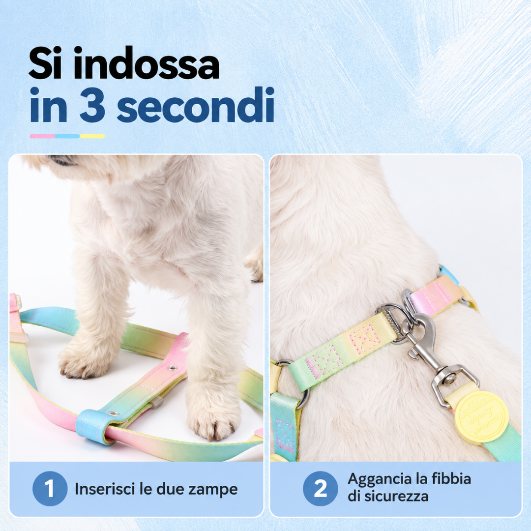 Set Pettorina a Y con LED e Guinzaglio Multifunzionale - Arcobaleno Sfumato