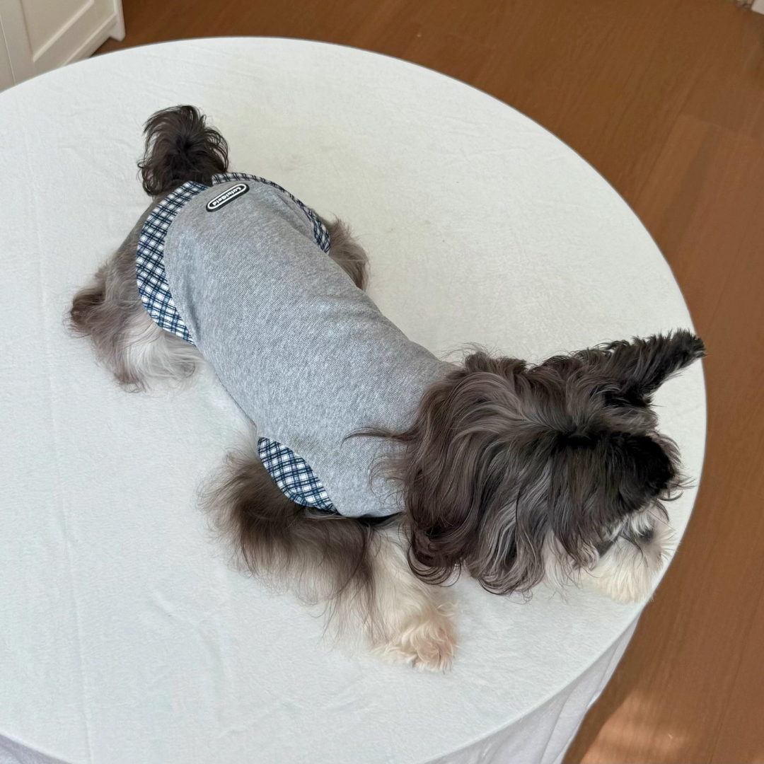 Felpa Gilet con Scollo a V Stile Finto Due Pezzi Grigio con Inserto a Quadri Blu e Bianchi