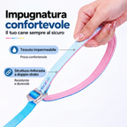 Set Pettorina a Y con LED e Guinzaglio Multifunzionale - Arcobaleno Sfumato