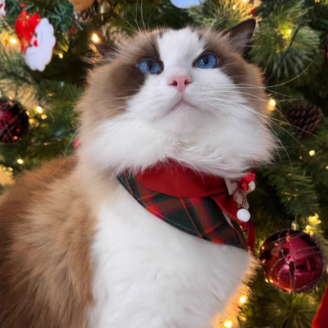 Bandana Natalizia per Cani e Gatti – Triangolo Tartan con Fiocco e Campanellini
