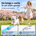 Set Pettorina a Y con LED e Guinzaglio Multifunzionale - Arcobaleno Sfumato