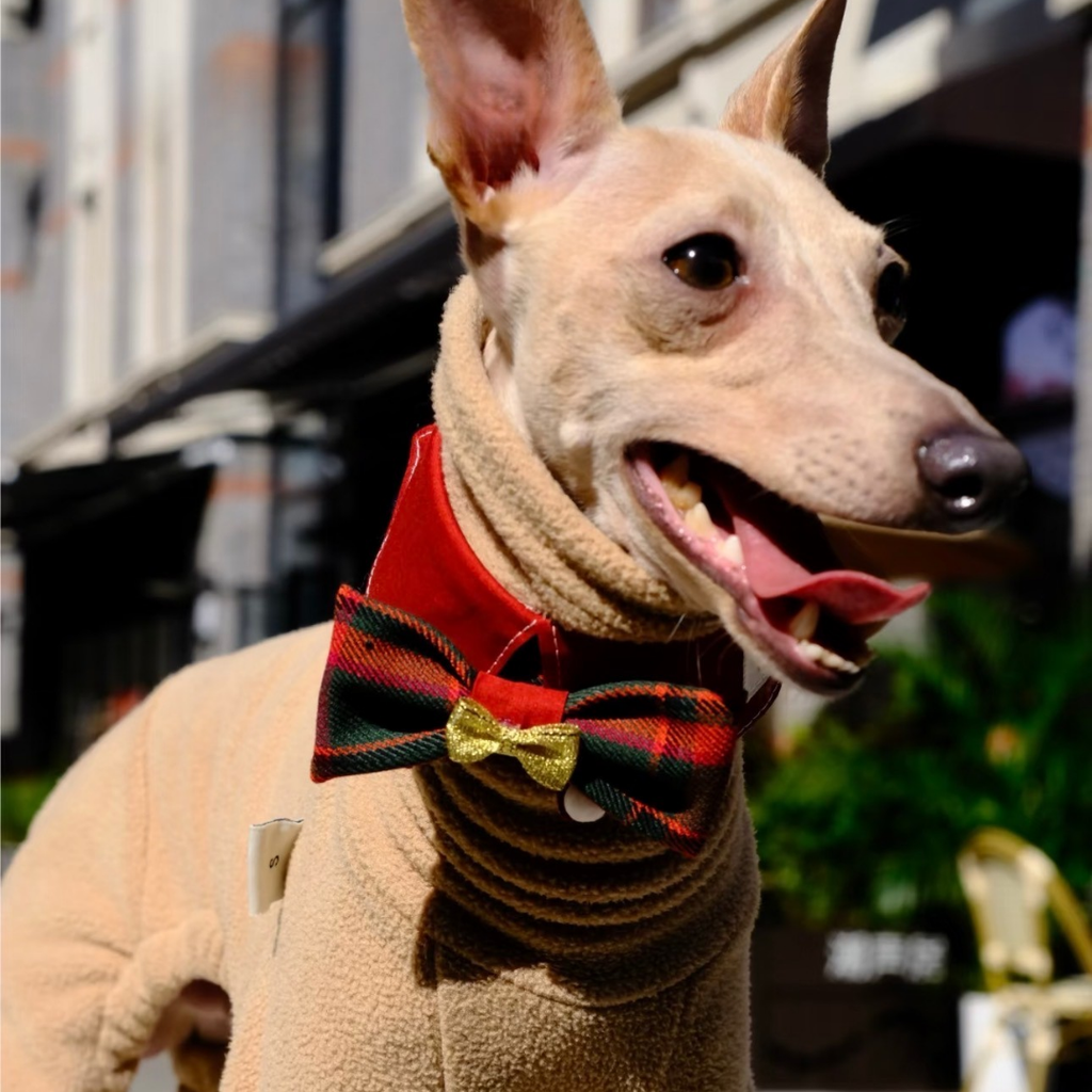 Bandana Natalizia per Cani e Gatti – Papillon Tartan con Fiocco Dorato