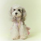 Vestito con Spalline a Quadretti Rosa con Fiocco Abito con Gonna a Doppio Strato
