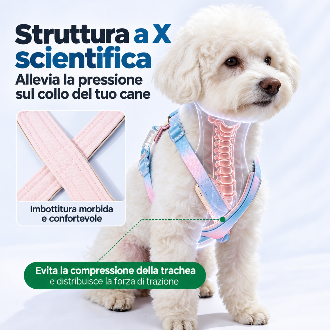 Set Pettorina a X con LED e Guinzaglio Multifunzionale - Arcobaleno Sfumato