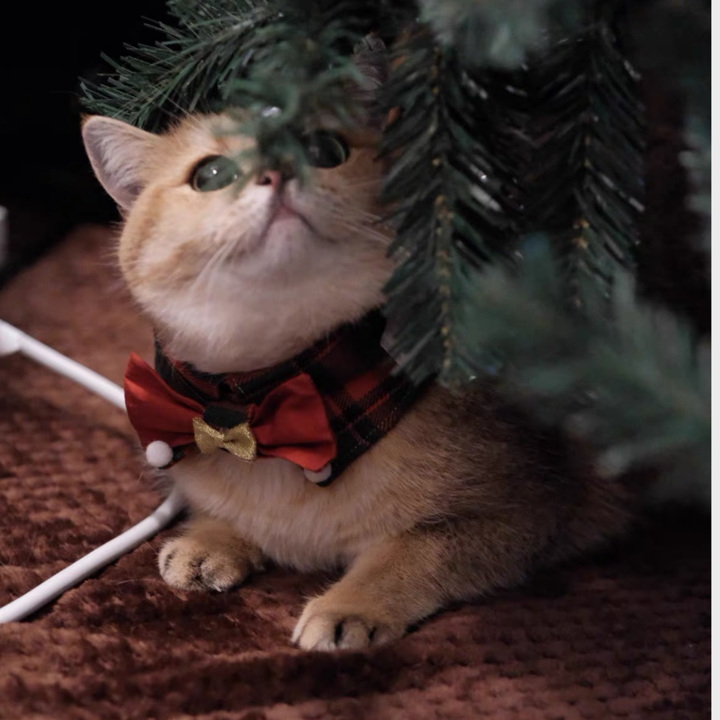 Bandana Natalizia per Cani e Gatti – Papillon Tartan con Fiocco Dorato