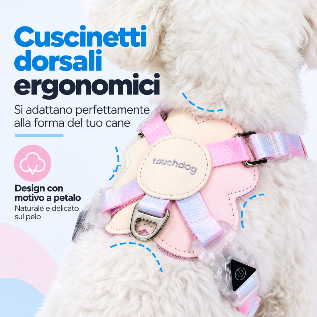 Set Pettorina a X con LED e Guinzaglio Multifunzionale - Arcobaleno Sfumato