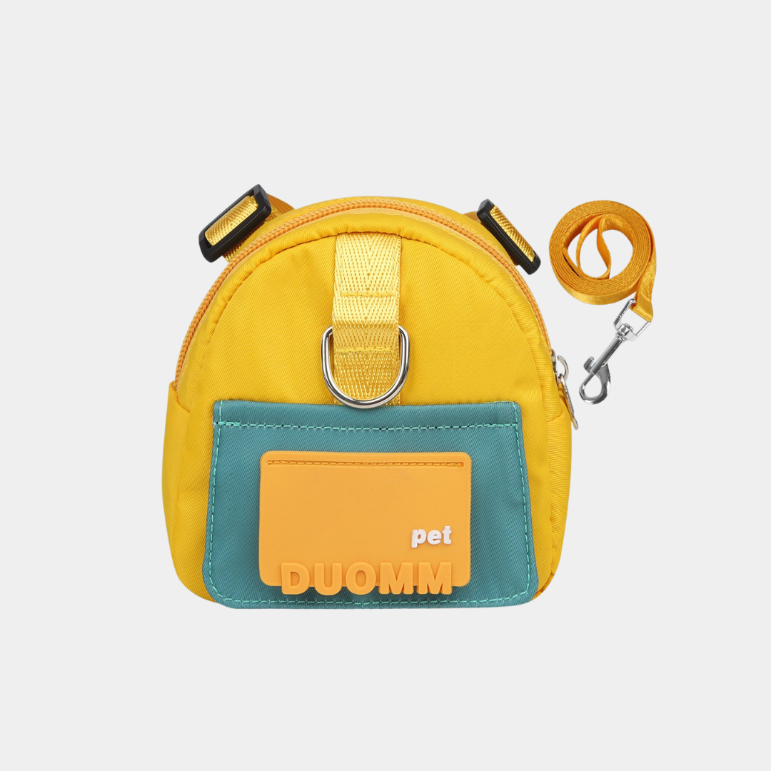 Set Pettorina + Guinzaglio per Cani e Gatti con Zainetto Impermeabile Multicolore
