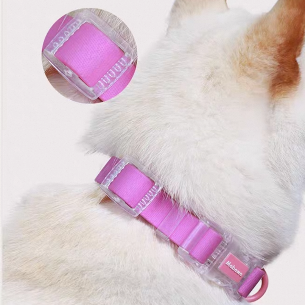 Set Collare + Guinzaglio Impermeabile Multifunzione con Fibbia Trasparente - Rosa Barbie