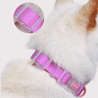 Set Collare + Guinzaglio Impermeabile Multifunzione con Fibbia Trasparente - Rosa Barbie