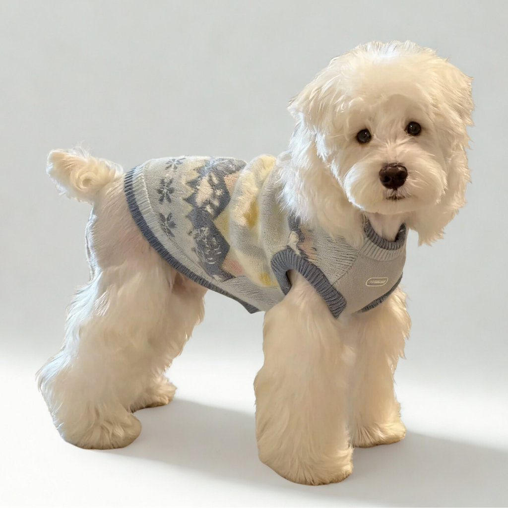 Maglioncino Gilet in Stile Fair Isle con Fantasia Originale Cagnolino e Zampette